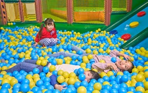 白樺リゾート 池の平ホテル