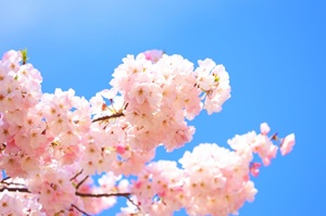 入園式でママが浮いてる原因は?対策も紹介